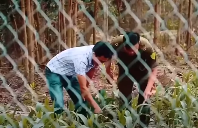 Nhận được tin báo, Công an huyện Long Thành và Cơ quan Cảnh sát điều tra (CSĐT) Công an Đồng Nai nhanh chóng có mặt, phong tỏa hiện trường để khám nghiệm, điều tra. Do thi thể đang trong giai đoạn phân hủy mạnh nên rất khó để nhận dạng.