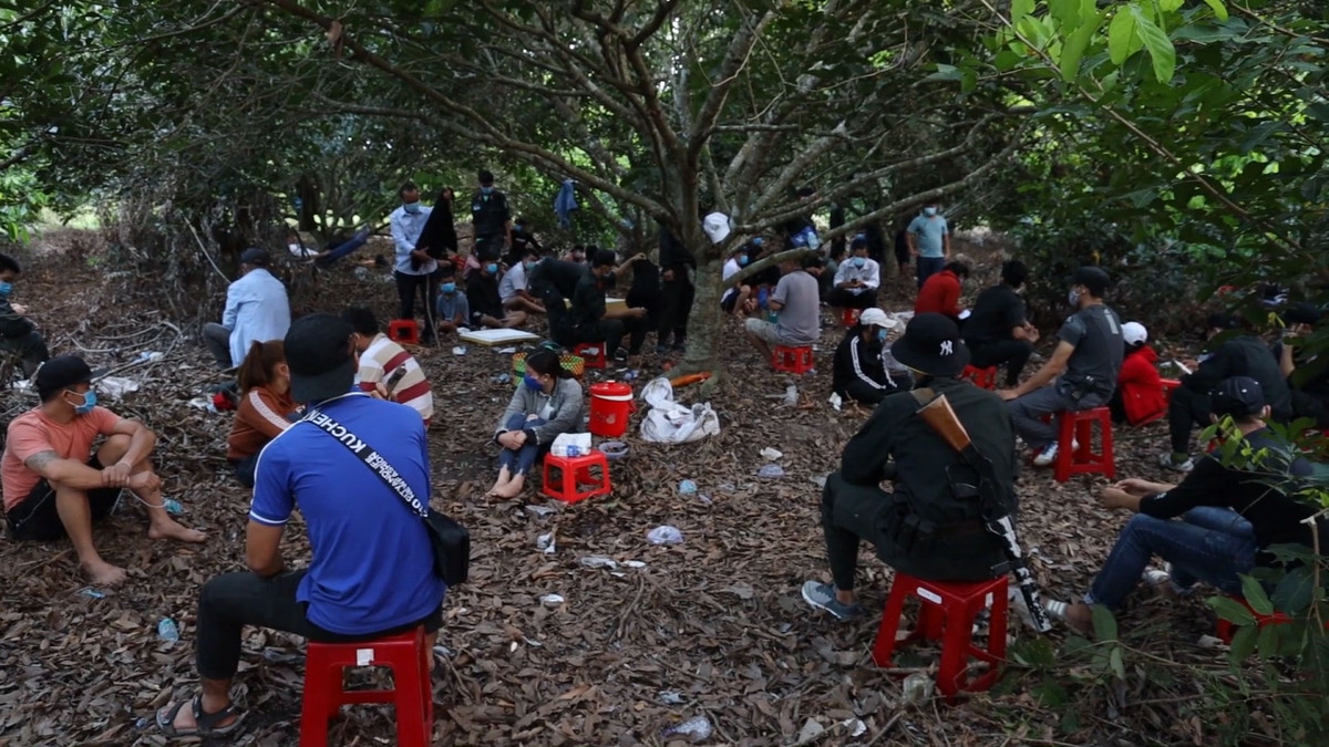  Phá sòng bạc quy mô lớn núp bóng quán cà phê: Ngày 29/10, Công an huyện Dương Minh Châu (Tây Ninh) cho biết vừa triệt phá sới bạc và tạm giữ hình sự 13 đối tượng do Lê Thanh Thảo (SN 1985, ngụ huyện Dương Minh Châu) cầm đầu để điều tra làm rõ về hành vi tổ chức đánh bạc và đánh bạc. Tang vật tạm giữ, gồm: Gần 90 triệu đồng, 8 xe môtô, 1 bộ dụng cụ lắc tài xỉu... (Ảnh minh hoạ)