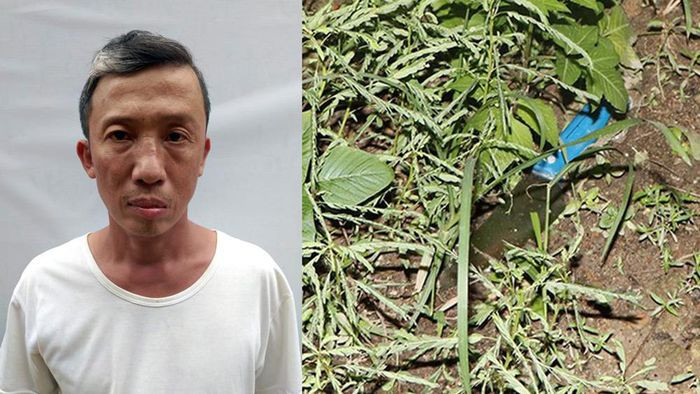  Người tàn tật giết người giữa đường: Bùi Quang Lý (46 tuổi, trú huyện Cẩm Xuyên, tỉnh Hà Tĩnh) trên đường về nhà thì gặp anh Đ.Đ.T. (41 tuổi, trú cùng địa phương). Sau đó, giữa 2 người đã xảy ra mâu thuẫn Lý đã dùng dam đâm tử vong nạn nhân. Được biết, Lý là người tàn tật còn anh Đ. bị chất độc màu da cam. Ngày 27/10, VNSND tỉnh Hà Tĩnh đã phê chuẩn khởi tố Lý về hành vi “Giết người”. 