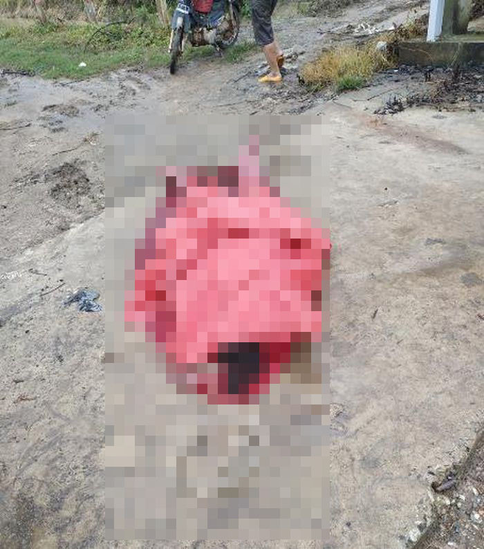  Người phụ nữ làm thuê ngoài ruộng bị sét đánh tử vong: chiều tối 21/10, trên địa bàn huyện Đức Linh, Bình Thuận có mưa lớn kèm theo sấm sét. Lúc này có chị Nguyễn Thị Quá (SN 1977, ngụ huyện Đức Linh) đang làm thuê trên cánh đồng xã Nam Chính không may bị sét đánh tử vong. Được biết, gia đình chị Quá thuộc diện hộ cận nghèo của địa phương. 