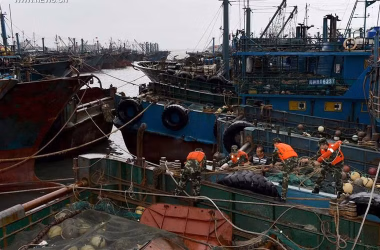 Các binh sỹ Trung Quốc giúp người dân cột chặt thuyền bè đỗ ở cảng cá ở Shishi, Phúc Kiến hôm 27/9 để tránh bão Megi.