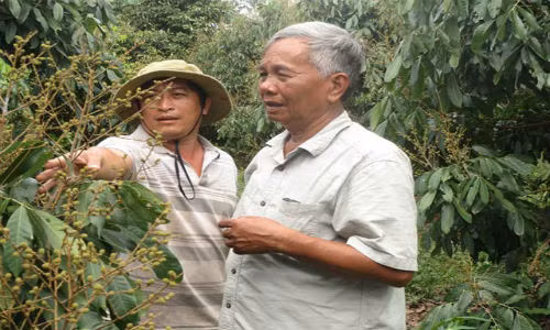 Nhan Ido dac biet co nao ma nong dan thu 2 ty/nam?