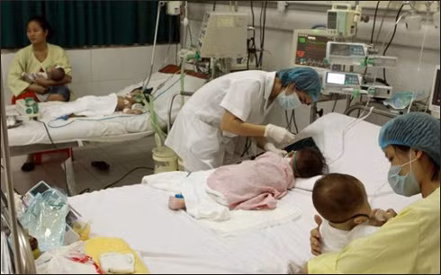 Sot xuat huyet, viem nao bung phat tren ca nuoc, hang tram ca benh nguy kich-Hinh-3