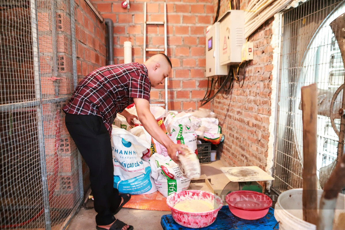 Liều nuôi con cầy mốc, anh nông dân bán 20 triệu/cặp giống - Hình 4 Lieu nuoi con cay moc, anh nong dan ban 20 trieu/cap giong-Hinh-4