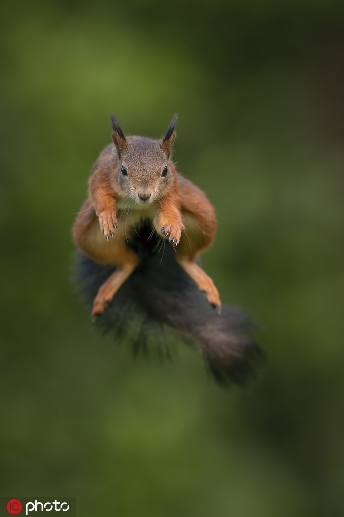 Khoanh khac soc do bay luon khoe kungfu cuc dinh-Hinh-4