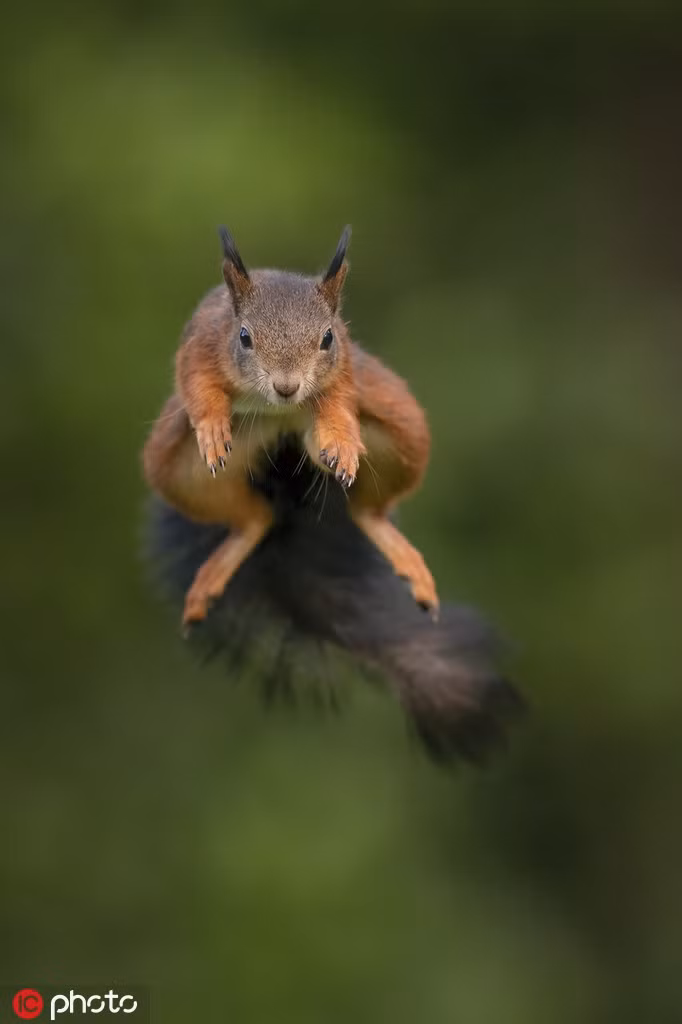 Khoanh khac soc do bay luon khoe kungfu cuc dinh-Hinh-4