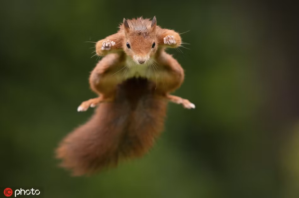 Khoanh khac soc do bay luon khoe kungfu cuc dinh-Hinh-3