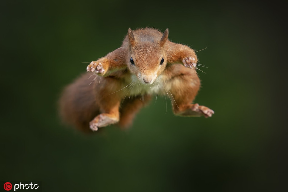 Khoanh khac soc do bay luon khoe kungfu cuc dinh-Hinh-2