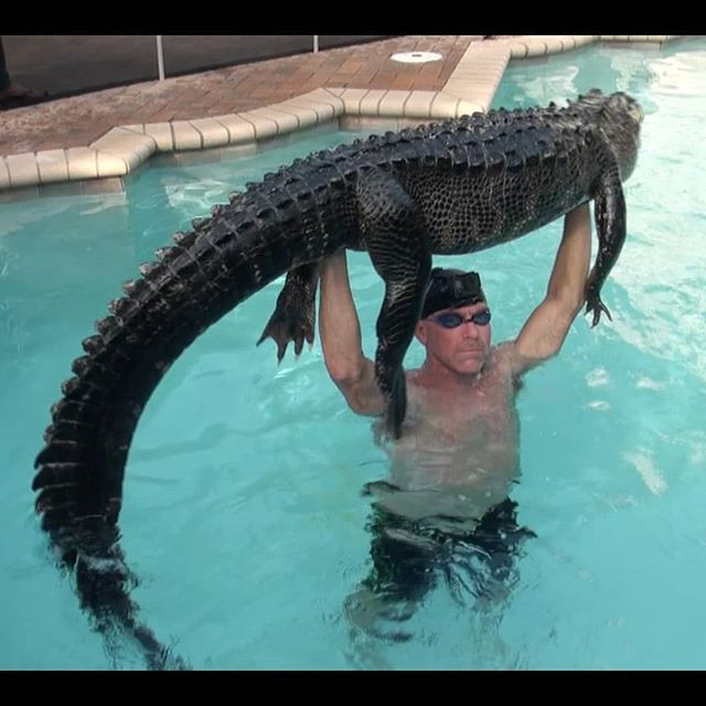 Thay ca sau trong be boi, nguoi dan ong lam chuyen ai cung 