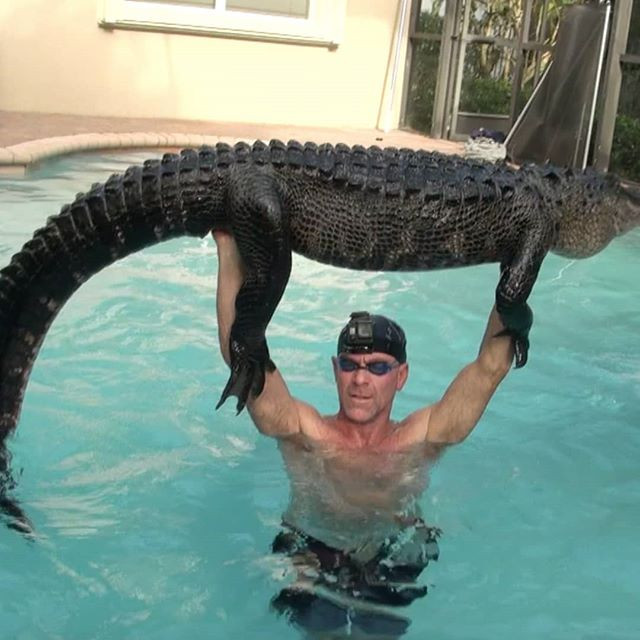 Thay ca sau trong be boi, nguoi dan ong lam chuyen ai cung 