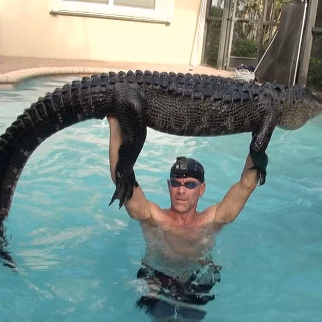 Thay ca sau trong be boi, nguoi dan ong lam chuyen ai cung 