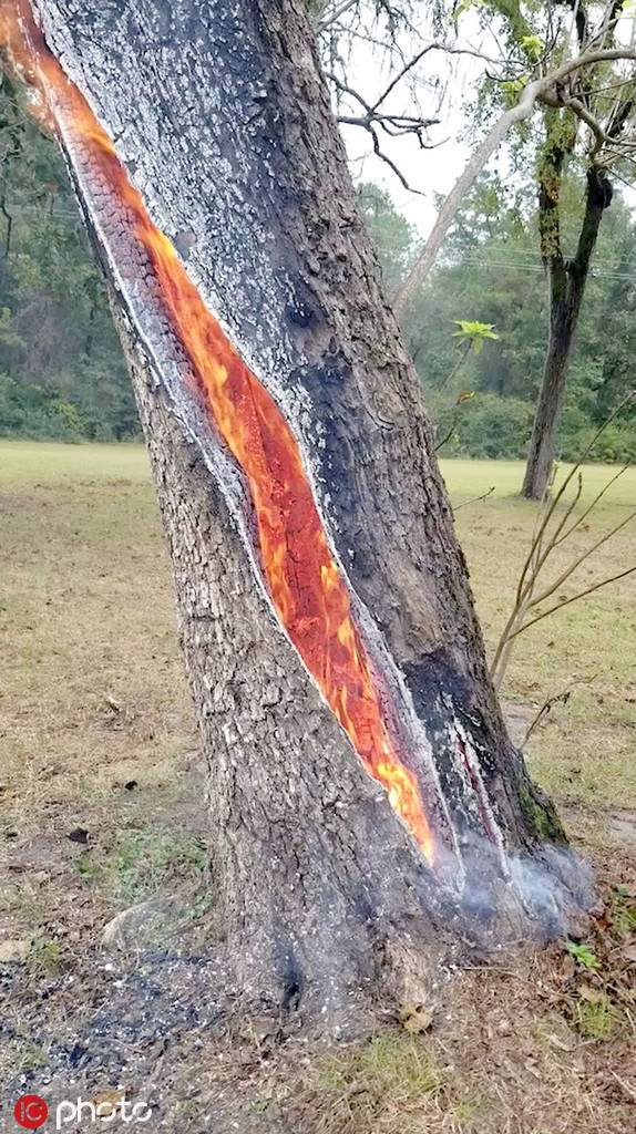 Anh Glenn Ratcliff, 44 tuổi, chủ một doanh nghiệp nhỏ, khi di chuyển qua đoạn đường, đã ghi lại được cảnh tượng sét đánh hiếm thấy này.