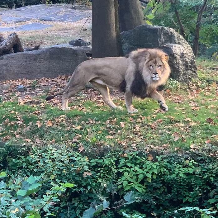 Run nguoi xem co gai vao chuong nhay 