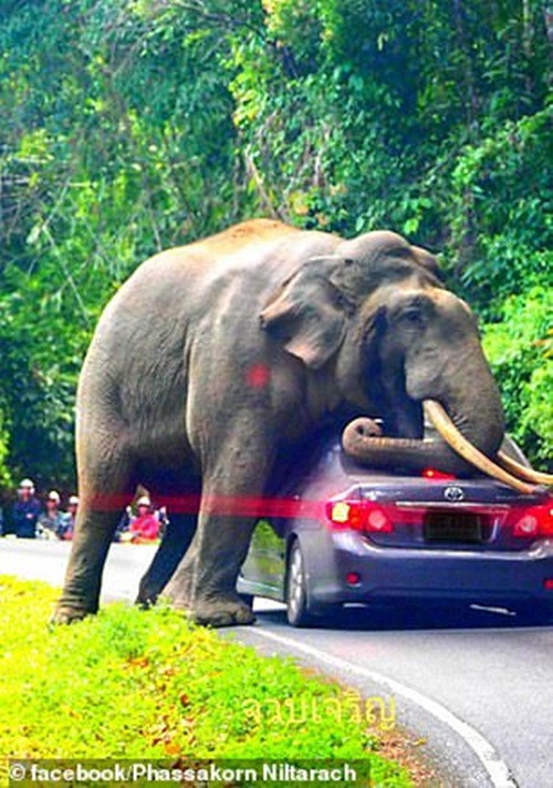 Tai xe hot hoang chung kien voi khong lo “cuong buc” o to