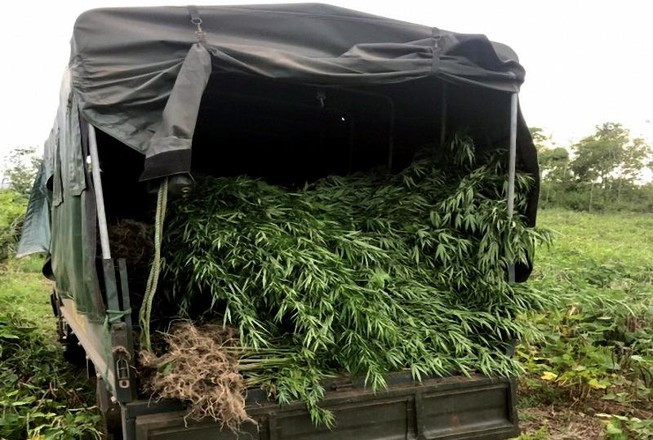 Phat hien gan nua tan cay can sa ven suoi