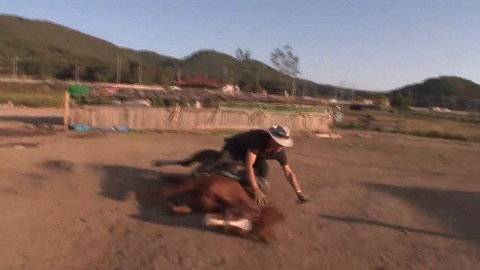 Anh Frasisco Zalasar, chủ nhân của Jingang cho biết, con ngựa này có thể làm đủ mọi trò hề, để khiến bản thân không phải làm việc, kể cả là phải nhịn đau, ngã xuống giả chết.