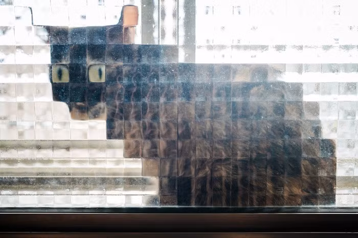 Khoảnh khắc nhìn ra cửa sổ nhà bếp và bất chợt nhìn thấy mèo cưng nghịch ngợm "biến hình", chắc chắn chủ nhân của con mèo này không khỏi giật mình hoảng hốt.