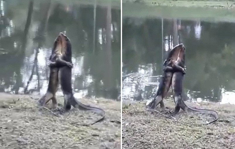 Than lan om hon tham thiet khien nguoi phat ghen va su that