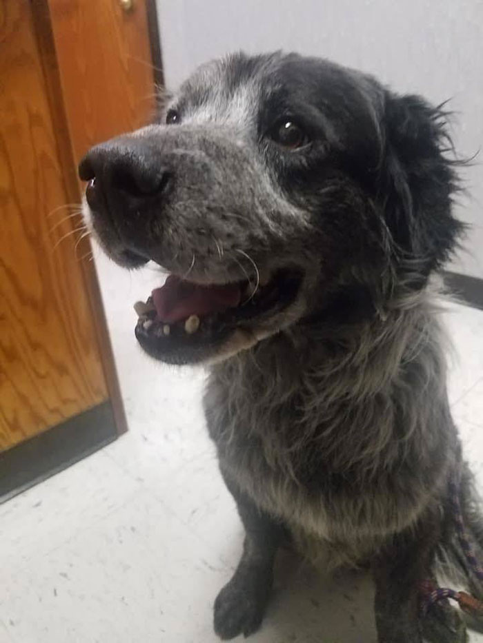 Gương mặt của Sanford hiện tại luôn ánh lên niềm vui không thể giấu.