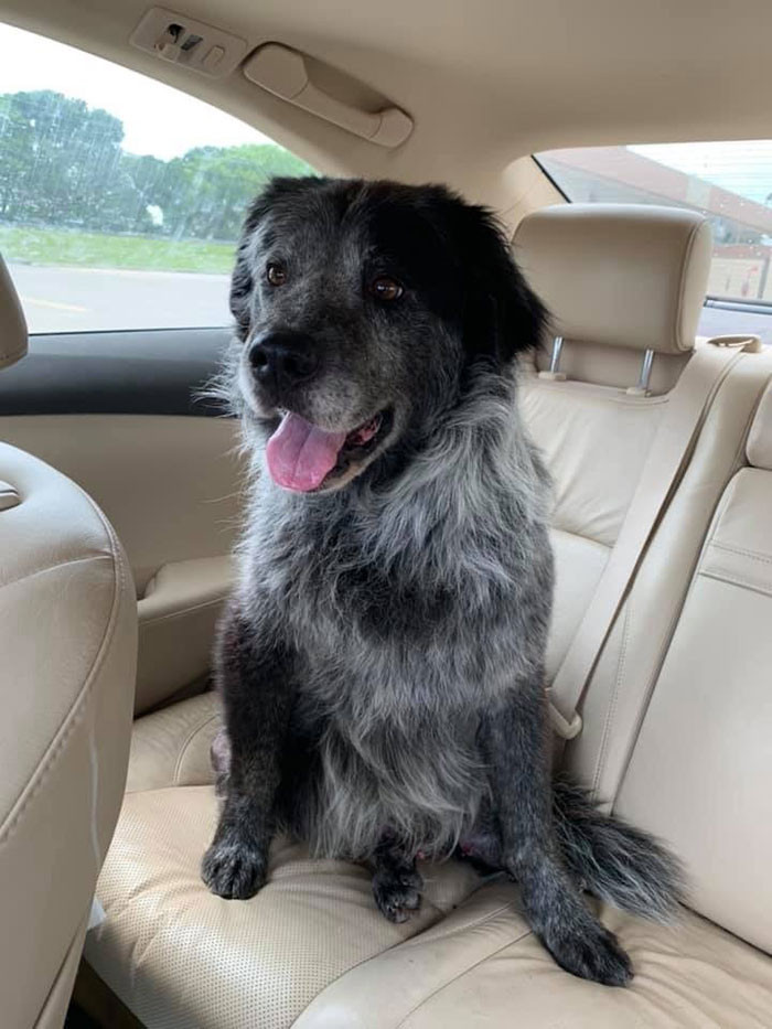 Sau khi được giải cứu, Sanford được người mẹ nuôi mới của mình, cô Karen Velazquez yêu thương, chăm sóc và thay đổi đáng kể.