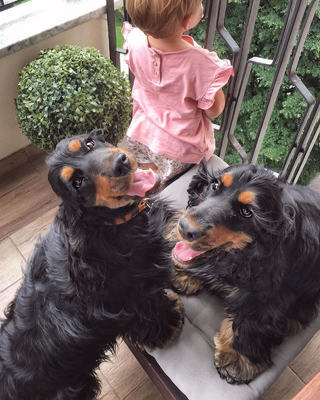 Ngan ngo ngam hai co cho 