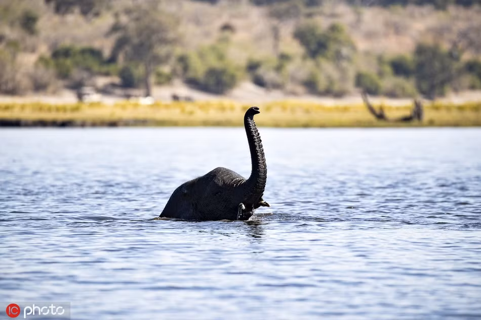 Ngo thuy quai ho Loch Ness chay den chau Phi, hoa ra bat ngo...-Hinh-2