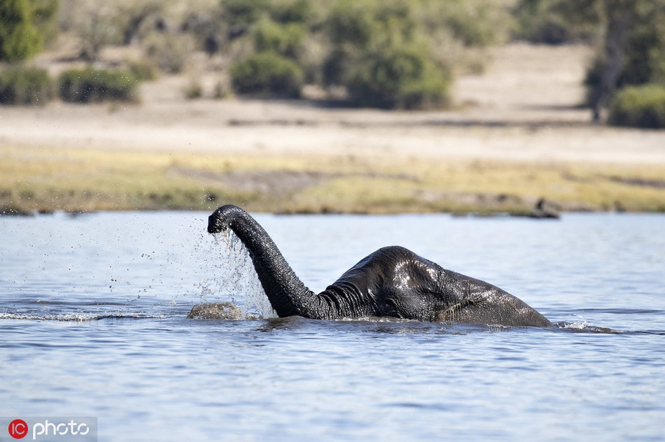 Ngo thuy quai ho Loch Ness chay den chau Phi, hoa ra bat ngo...-Hinh-3