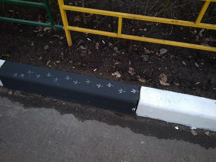 Đợi mãi thợ sơn mới sơn xong, một con chim hư hỏng quyết định ghi dấu ấn riêng của mình.