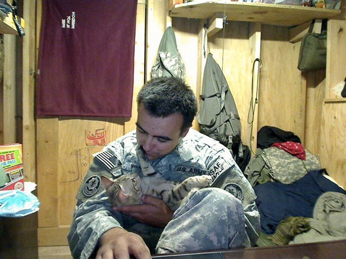 Koshka, chú mèo trị liệu, giúp đỡ một người lính vượt qua suy nghĩ chán nản và tự sát.