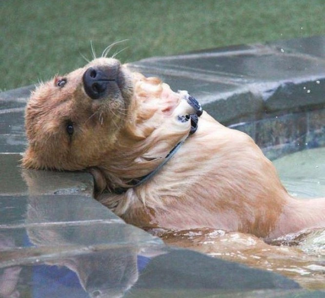 Suy tư về chuyện đời.