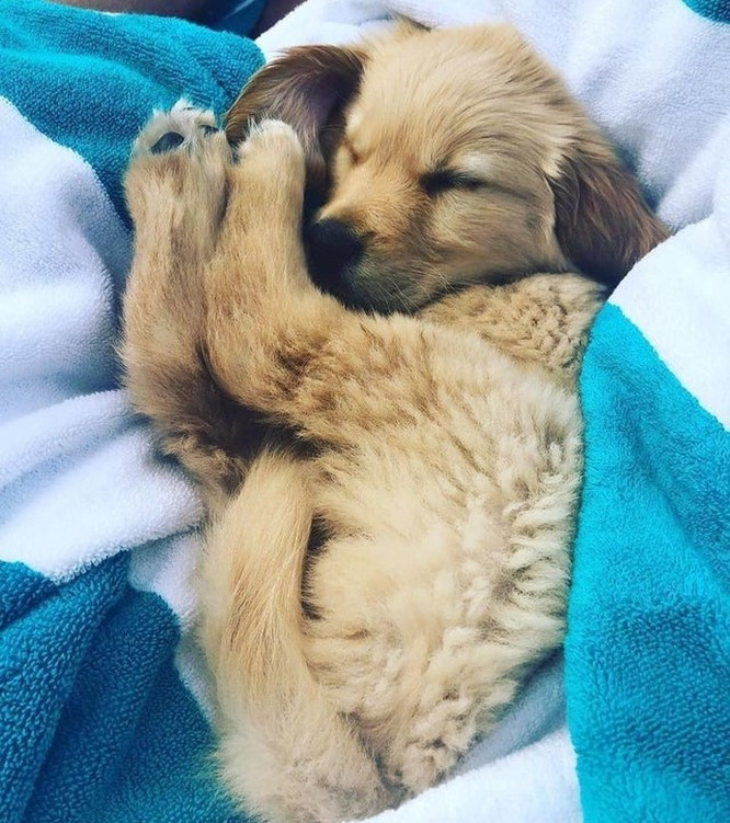 Cuộn tròn trong chăn và quên đi mọi phiền muộn.