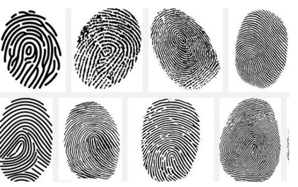 Đến ngày 13/2 thì phát hiện thêm chân trái và tay phải trôi trên sông và dạt vào phường Long Bình, quận 9. Cơ quan CSĐT Công an TP HCM đã thu được dấu vân tay phải của tử thi. Công tác khám nghiệm còn xác định tử thi có dấu vết bị đốt cháy. Cũng trong ngày 13/2, Công an huyện Dĩ An, tỉnh Bình Dương phát hiện đầu của nạn nhân nữ trôi đạt trên sông Đồng Nai, thuộc ấp Quyết Thắng, xã Bình Thắng, huyện Dĩ An…(Ảnh minh họa, nguồn internet) 