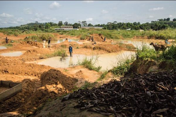 Để tìm kim cương, họ phải ngâm mình dưới sông cả ngày trời. Họ sẽ luân phiên nghỉ ngơi và tìm kiếm.