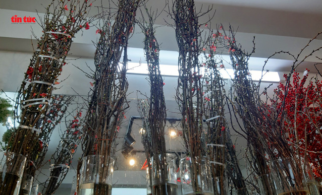 Cành hoa đào Nhật được một cửa hàng hoa tại chợ Hồ Thị Kỷ 9TP HCM) nhập về bán với giá 1,1 triệu đồng/bó. Ảnh: Baotintuc.