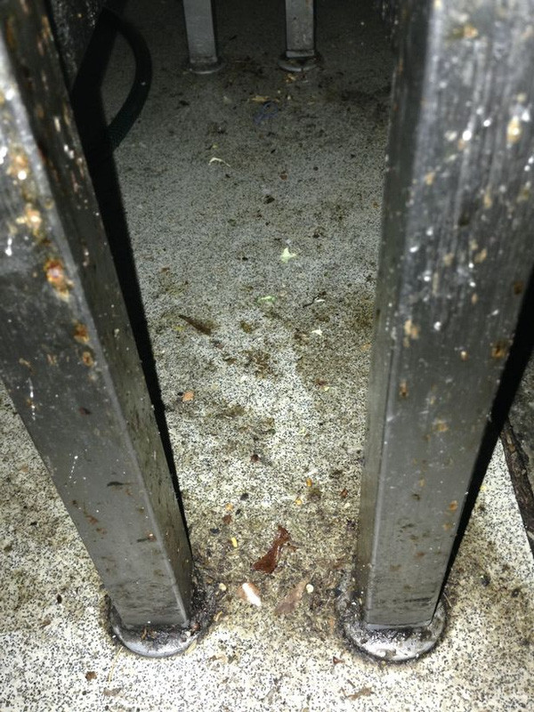 Toàn bộ khu vực bếp của nhà hàng đều bao phủ bụi bẩn, dầu mỡ. Ảnh: Mirror.