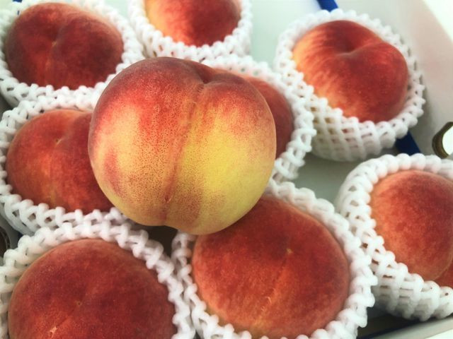 Đào tiên Nhật Bản cũng là thức quả sang trọng mà nhiều người chọn làm quà biếu dù giá lên tới gần 2 triệu đồng/kg. Ảnh: Vietnamnet.