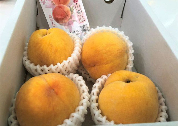 Ngoài giống đào hồng, trên thị trường còn có đào vàng Nhật Bản cũng rất hút khách. Ảnh: Vietnamnet