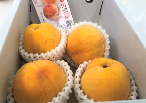 Ngoài giống đào hồng, trên thị trường còn có đào vàng Nhật Bản cũng rất hút khách. Ảnh: Vietnamnet