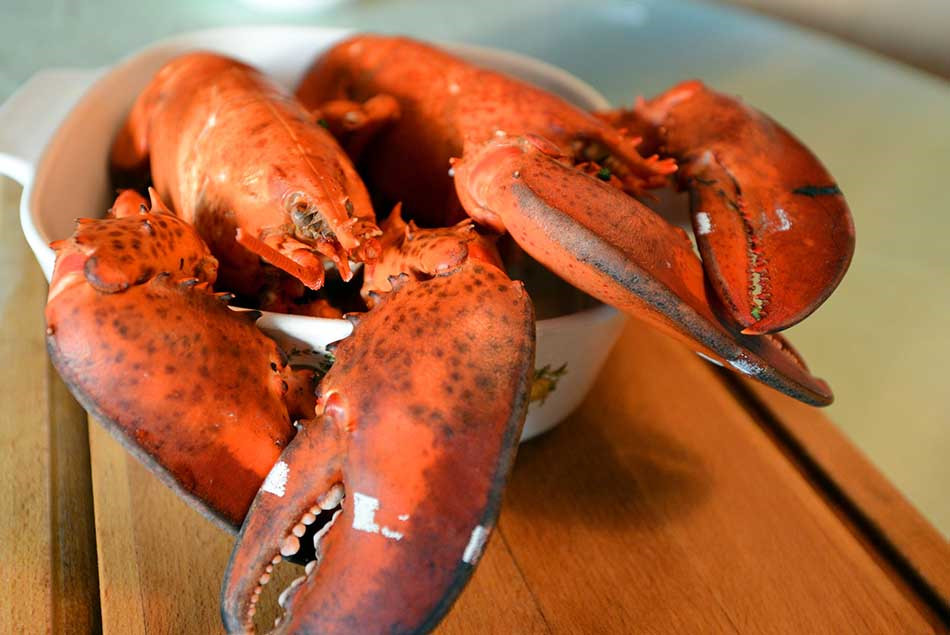 Tôm hùm Fourshu là món hải sản nổi tiếng, từng được ví như siêu xe Rolls-Royce của loài tôm hùm. Loài giáp xác quý hiếm này lần đầu tiên được giới thiệu tại New York với những người yêu ẩm thực. Ảnh: Getty Image.