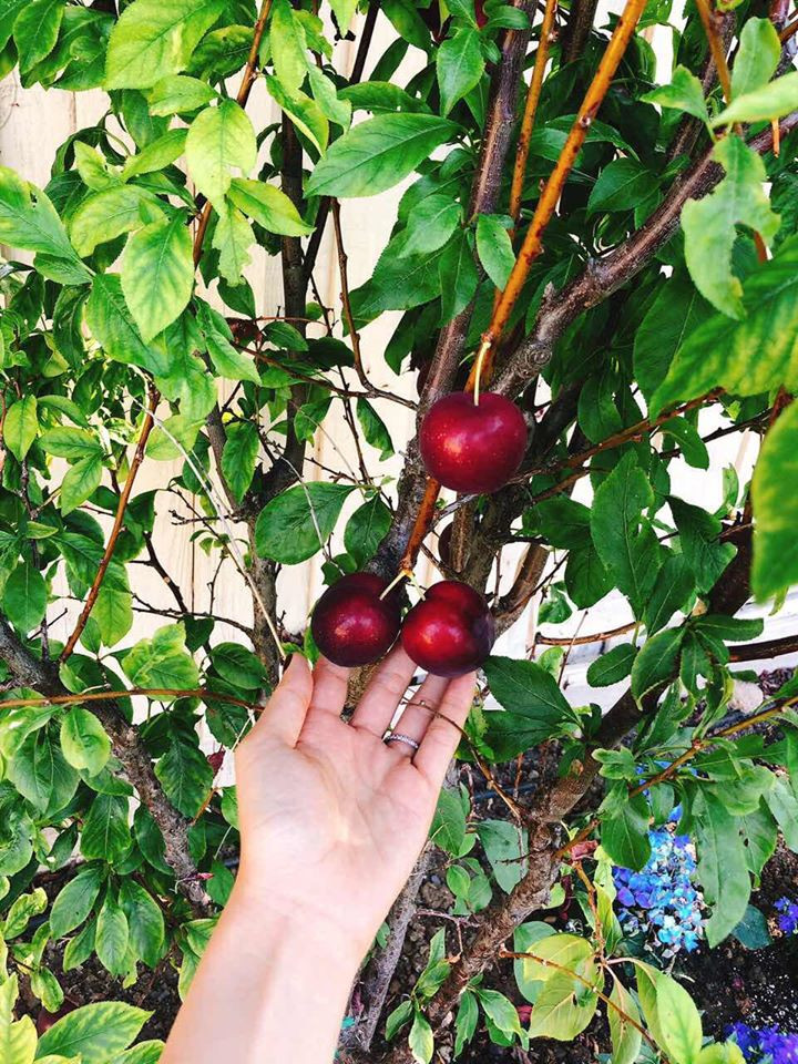 Chia sẻ trên trang cá nhân, Hoa hậu Hoàn vũ Việt Nam 2015 cho biết: "Không có gì hạnh phúc hơn bằng một buổi sáng an lành và yên bình đến thế, tận hưởng không khí trong lành của buổi sáng mùa hè. Xin được an nhiên, thiện lành mãi trong tâm hồn".