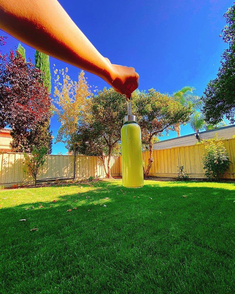 Trong khu vườn, Phạm Hương còn tự tay trồng hoa và nhiều loại cây ăn quả.