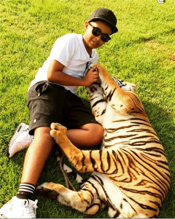 Vườn thú mini của cậu bao gồm hàng trăm con thú quý hiếm: sư tử, hổ, khỉ, và một loạt báo, báo đen,…