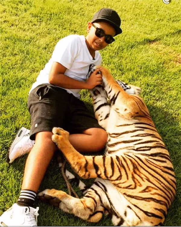 Vườn thú mini của cậu bao gồm hàng trăm con thú quý hiếm: sư tử, hổ, khỉ, và một loạt báo, báo đen,…