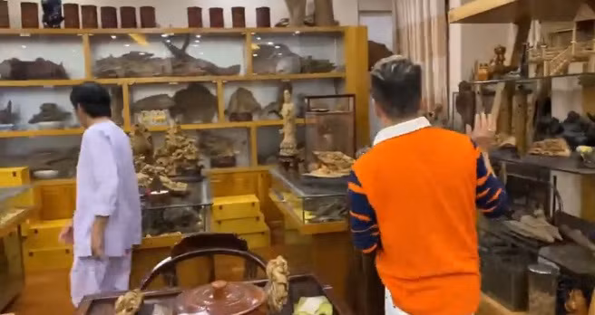 Trầm hương là phần gỗ của cây dó bầu bị nhiễm dầu, có đặc điểm tỏa mùi thơm đặc biệt lúc đốt hoặc chưa đốt. Riêng kỳ nam là vị thuốc rất quý hiếm, được cho là quý hiếm hơn trầm hương một bậc.