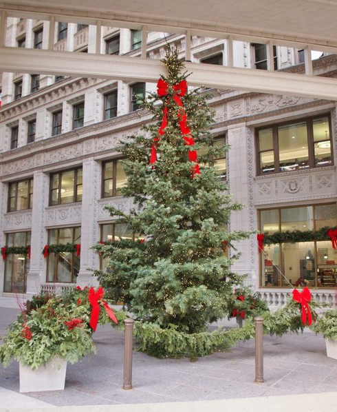 Đặc biệt, những cây hơn 3m giá từ 22-24 triệu đồng. Đắt nhất là cây trên 4m với giá gần 30 triệu đồng. Ảnh: Infonet.