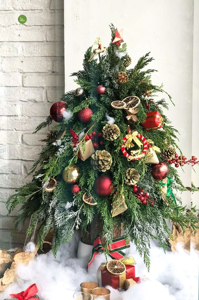 Theo người bán, cây thông có thể trưng được 2-3 tháng mà vẫn giữ độ tươi. Ảnh: Facebook