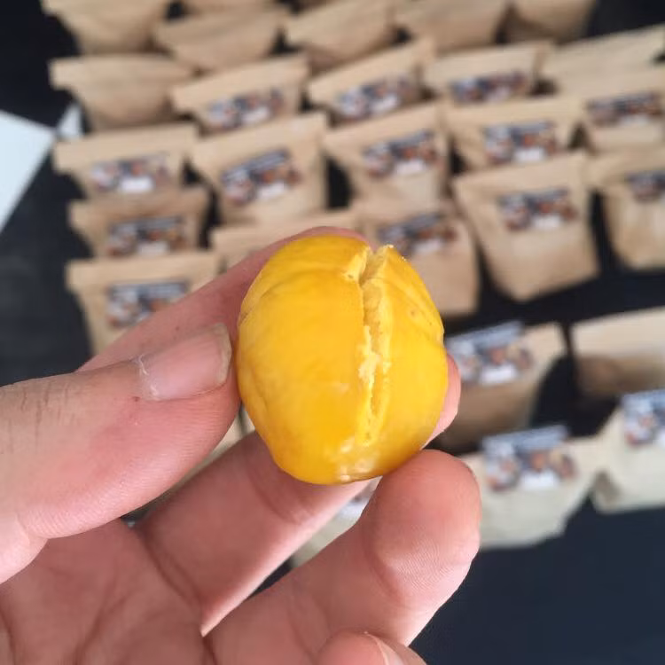 Hạt dẻ Trùng Khánh quả nhỏ và không to đều như hạt dẻ Trung Quốc.