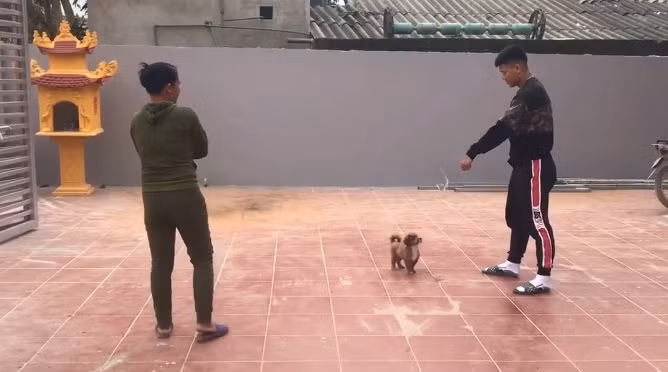 Sân rộng lát gạch đỏ giống như nhiều căn nhà khác ở quê. Ảnh: Zing.