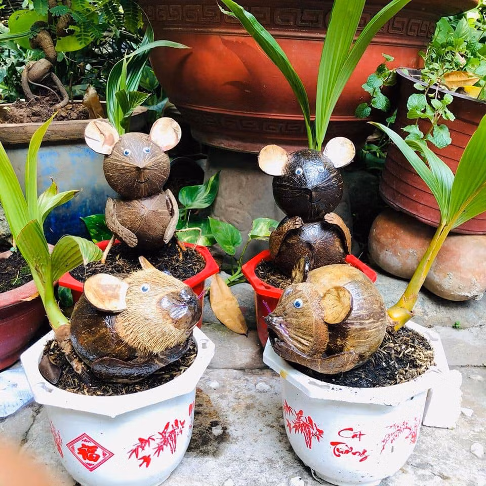 Bonsai choi Tet 2020 “sieu chat”, dan Viet van phut mot xuong tien so huu