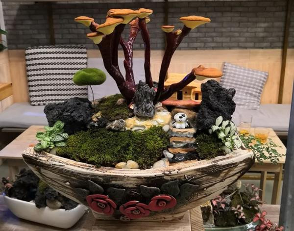 Ngoài ra, gần Tết, nấm linh chi bonsai cũng được nhiều cửa hàng rao bán với giá từ vài trăm đến cả triệu đồng. Ảnh: Facebook.